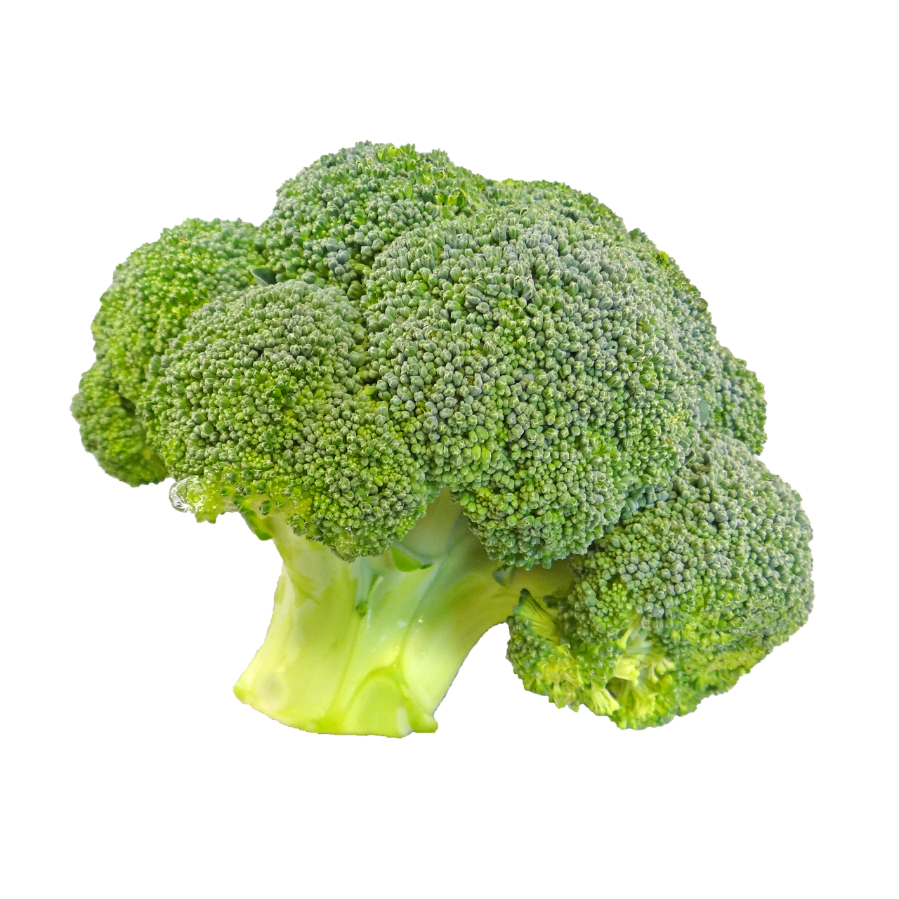 Brocolli